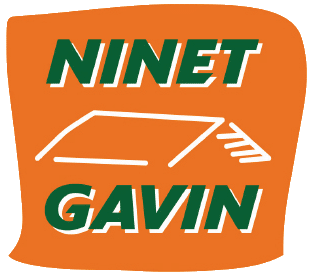 Ninet Gavin