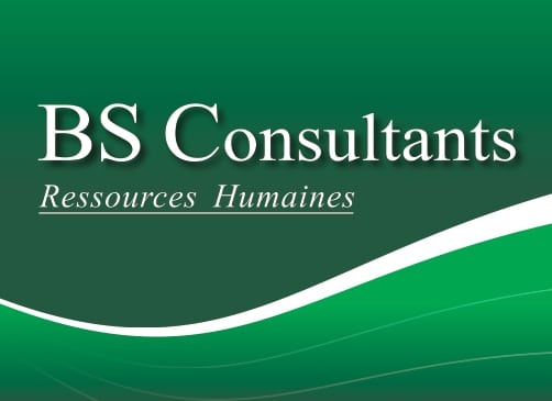 BS CONSULTANTS