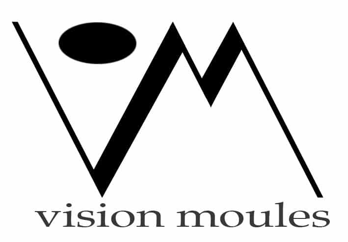 VISION MOULES